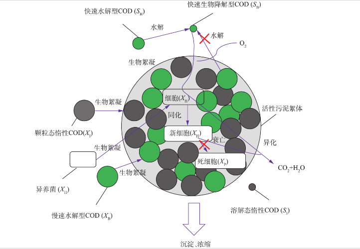 污水中有哪些有機物